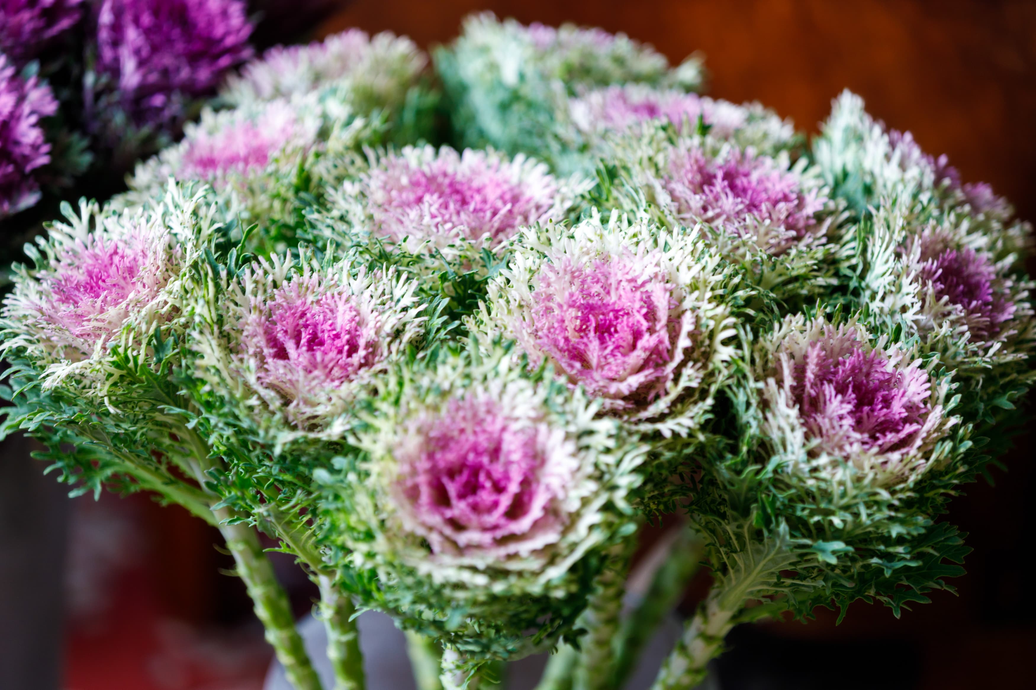 Цветочный образец 10