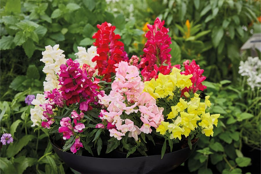 Цветочный образец 2