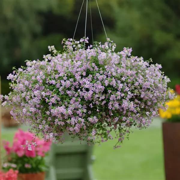 Цветочный образец 5