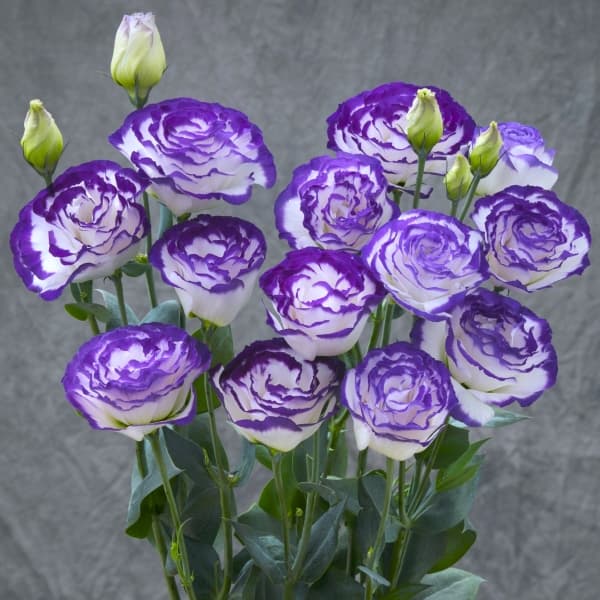 Цветочный образец 7